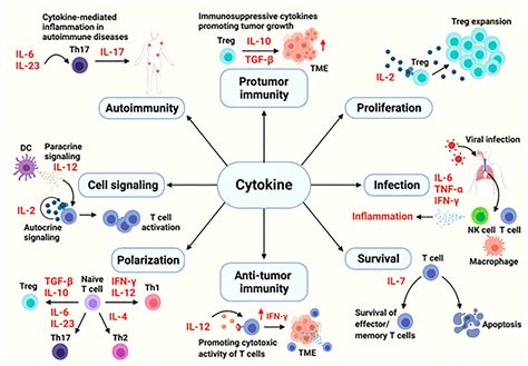how are cytokines similar to hormones